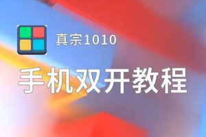 真宗1010怎么双开  真宗1010双开挂机软件推荐