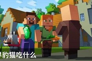 我的世界豹猫吃什么