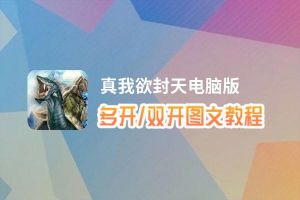 真我欲封天怎么双开、多开？真我欲封天双开助手工具下载安装教程