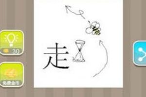 走和蜜蜂答案攻略