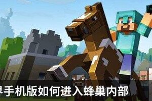 我的世界手机版如何进入蜂巢内部