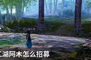 下一站江湖阿木怎么招募