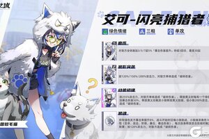 《猫之城》美国短毛猫：艾可-闪亮捕猎者即将登场！