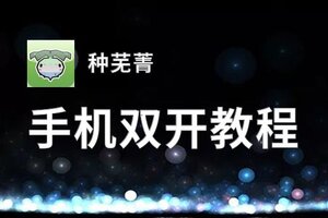 怎么双开种芜菁？ 种芜菁双开挂机图文全攻略