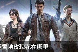 和平精英雪地玫瑰花在哪里