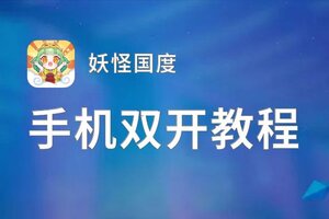 妖怪国度双开神器 轻松一键搞定妖怪国度挂机双开