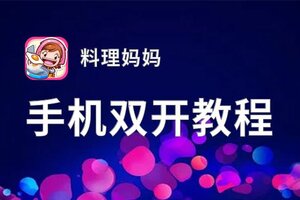 料理妈妈怎么双开  料理妈妈双开挂机软件推荐