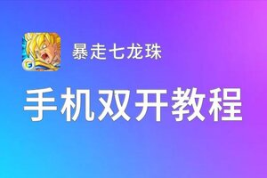暴走七龙珠双开神器 轻松一键搞定暴走七龙珠挂机双开