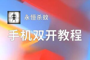 永恒杀蚊双开神器 轻松一键搞定永恒杀蚊挂机双开