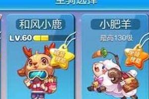 爆分坐骑排行对比推荐