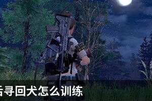 明日之后寻回犬怎么训练