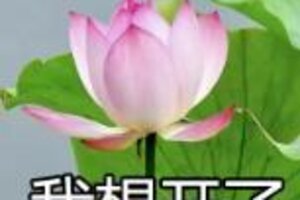 《蜀门》全新灵墟秘境挑战"血魔·木"开启！