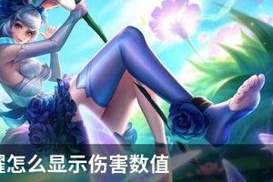 王者荣耀怎么显示伤害数值