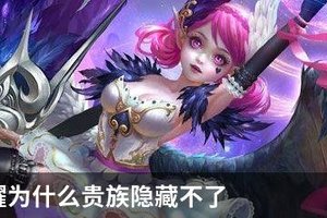 王者荣耀为什么贵族隐藏不了