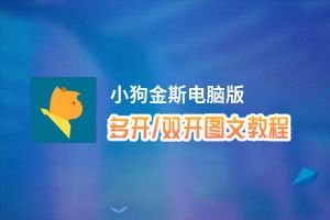 小狗金斯怎么双开、多开？小狗金斯双开助手工具下载安装教程