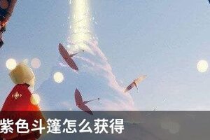 sky光遇紫色斗篷怎么获得