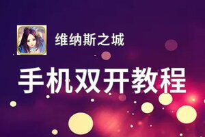 维纳斯之城双开挂机软件推荐  怎么双开维纳斯之城详细图文教程