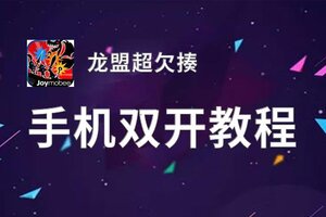 龙盟超欠揍双开神器 轻松一键搞定龙盟超欠揍挂机双开