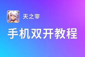 天之宰双开神器 轻松一键搞定天之宰挂机双开