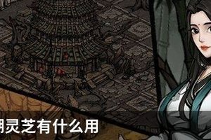 烟雨江湖灵芝有什么用