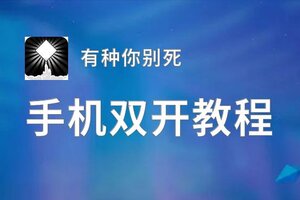 有种你别死双开挂机软件推荐  怎么双开有种你别死详细图文教程