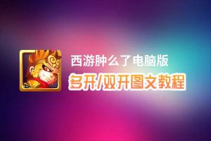 西游肿么了怎么双开、多开？西游肿么了双开助手工具下载安装教程