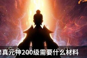 想不想修真元神200级需要什么材料