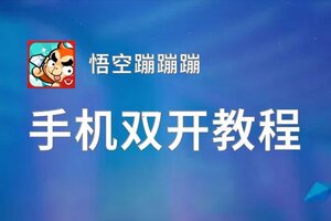 悟空蹦蹦蹦如何双开 2020最新双开神器来袭