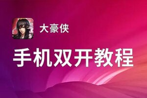 大豪侠如何双开 2021最新双开神器来袭