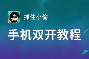 抓住小偷双开神器 轻松一键搞定抓住小偷挂机双开