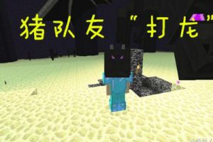 《我的世界》不要和“猪”队友做的6件事，最后1个过来人的忠告！