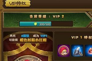 VIP系统介绍