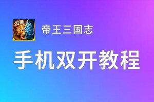 帝王三国志双开软件推荐 全程免费福利来袭