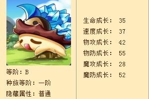 获得宠物矿石虫详解攻略