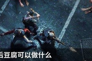  明日之后豆腐可以做什么