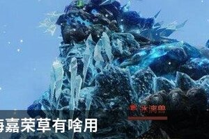 妄想山海嘉荣草有啥用