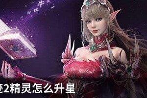全民奇迹2精灵如何升星