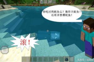 如果动物们都有人“罩着”，猪：你敢动我一下试试！