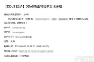 《见习猎魔团》【紧急公告】目前服务器正处于被攻击状态