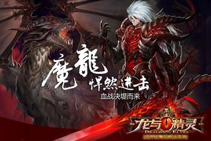 精英副本丛林之心通关攻略
