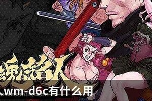 战魂铭人wm-d6c有什么用