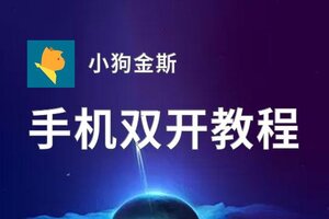 有没有小狗金斯双开软件推荐 深度解答如何双开小狗金斯