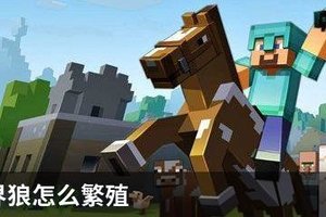 我的世界狼怎么繁殖