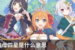 公主连结母四星是什么意思