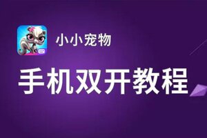 小小宠物双开挂机软件盘点 2020最新免费小小宠物双开挂机神器推荐