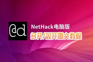 NetHack怎么双开、多开？NetHack双开助手工具下载安装教程
