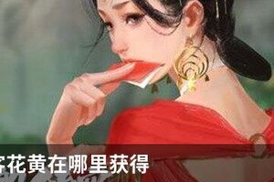 我的侠客花黄在哪里获得