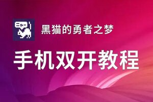 黑猫的勇者之梦如何双开 2020最新双开神器来袭