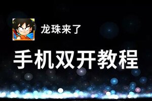 龙珠来了双开神器 轻松一键搞定龙珠来了挂机双开