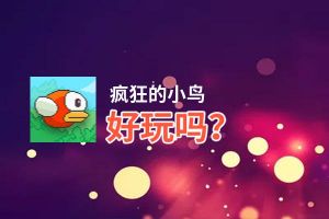 疯狂的小鸟好玩吗？疯狂的小鸟好不好玩评测